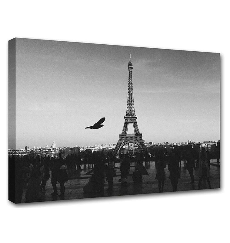 Landscape della Tour Eiffel in bianco e nero
